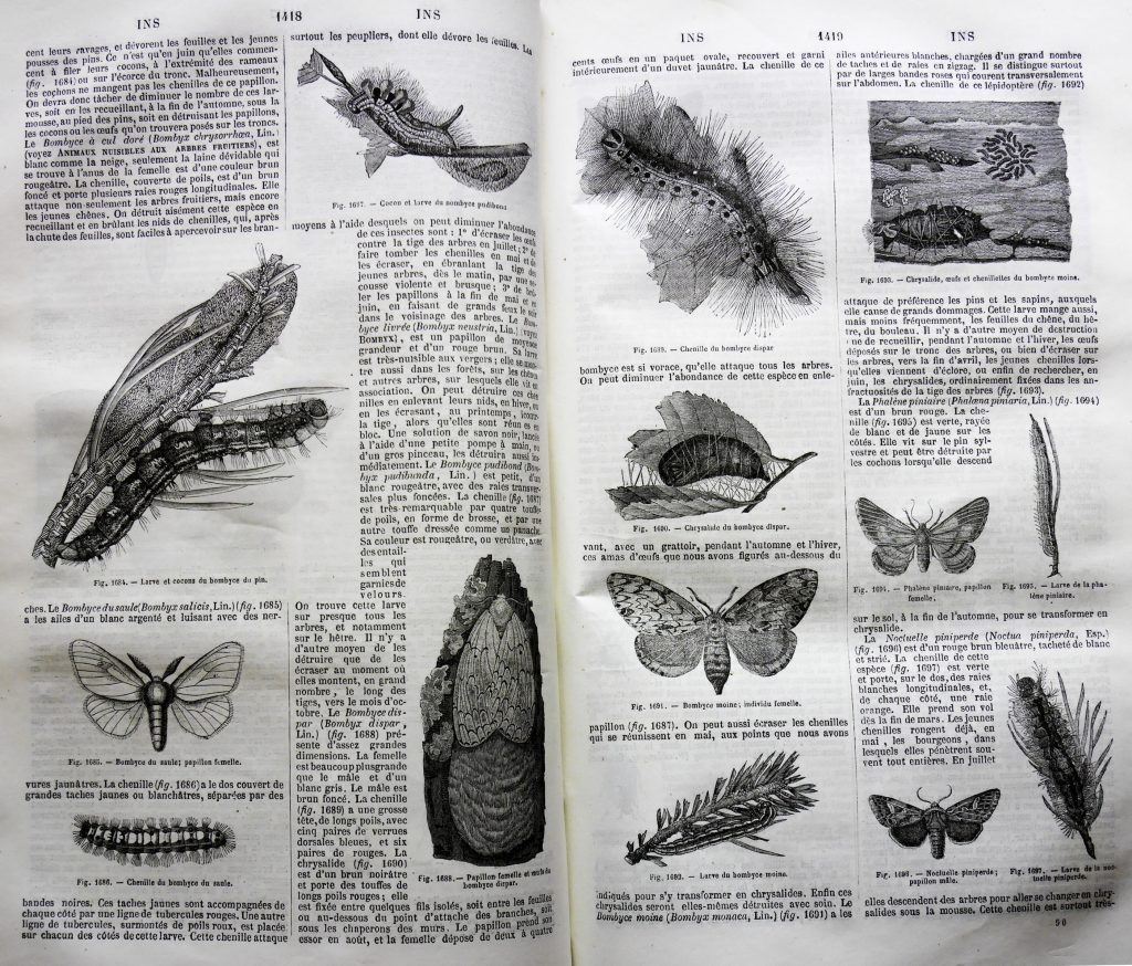 Encyclopédie Théorique Et Pratique Des Connaissances Utiles - 