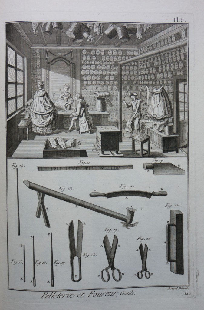 Encyclopédie Méthodique Le Dicopathe - 