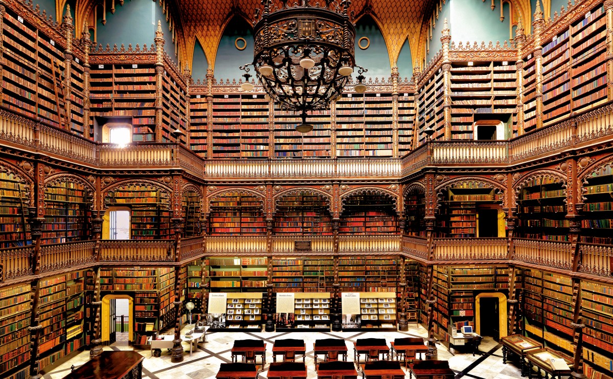 biblioteca-brasil-e1537773424640 - Le Dicopathe